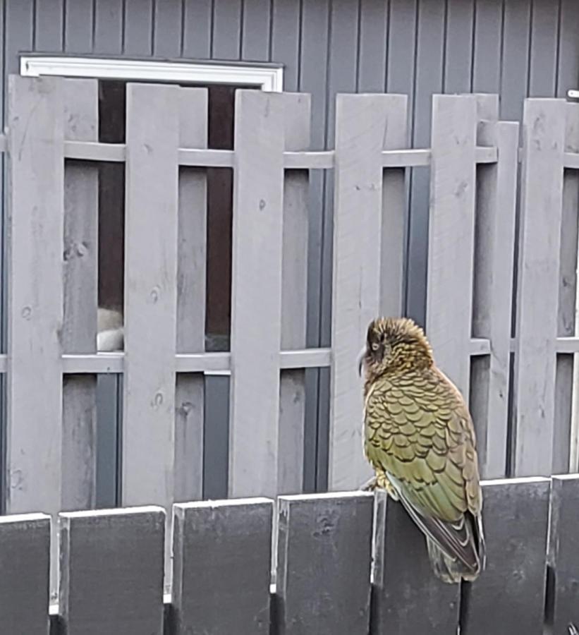 Kea Retreat Villa Franz Josef Eksteriør billede